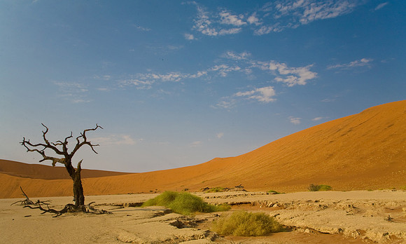 Dead Vlei, Namibia