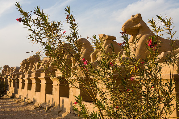 Egypt