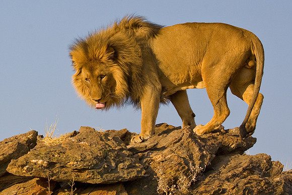 Namibia