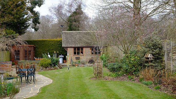 Wood Dene