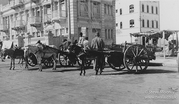 Donkey carts
