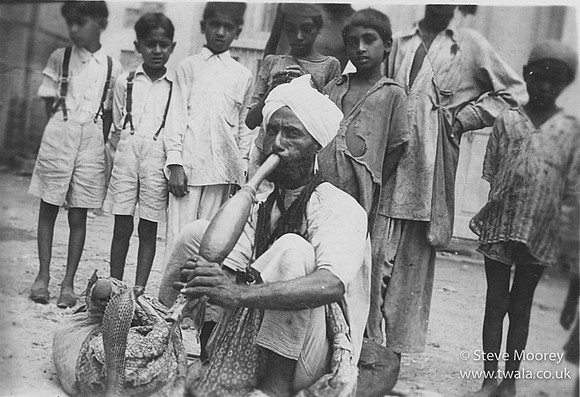 SNAKE CHARMER
