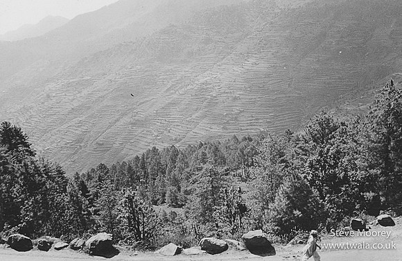 LOWER TOPA