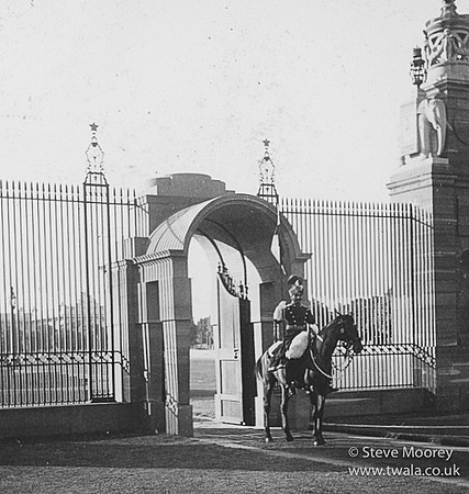 VICEROYS GUARD