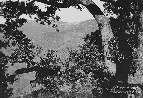 LOWER TOPA