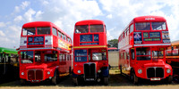 Festival of Transport 2013